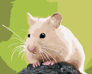 Goblen cu diamante - HAMSTER ALB PE O PIATRĂ