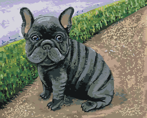 Goblen cu diamante - BULLDOG FRANȚUZESC