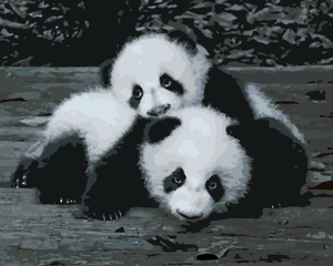 Goblen cu diamante - URȘI PANDA LA ZOO