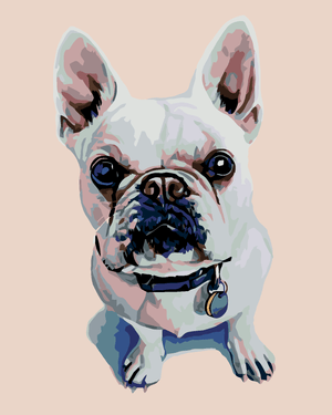 Goblen cu diamante - CÂINE BULLDOG ALB FRANȚUZESC CU Z...