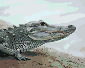 Goblen cu diamante - ALIGATOR APROAPE DE APĂ (D. RUSTY...