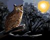 next