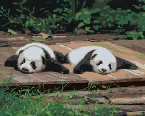 Goblen cu diamante - PANDA ÎNTINȘI PE PODEA