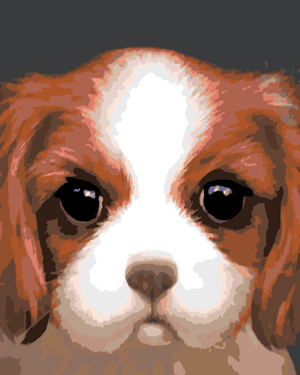 Goblen cu diamante - CÂINE - SPANIEL CAVALIER (MYROSLA...