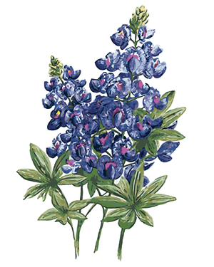Goblen cu diamante - LUPIN ALBASTRU ÎNFLORIT (ALEXANDR...