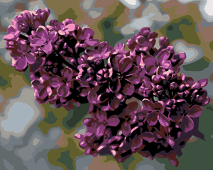 Goblen cu diamante - LILIAC