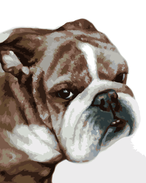 Goblen cu diamante - BULLDOG (MYROSLAVA VOLOSCHUK)