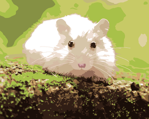 Goblen cu diamante - HAMSTER ALB ÎN PĂDURE