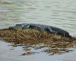 Goblen cu diamante - ALIGATOR STÂND PE IARBĂ (D. RUSTY...