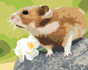 Goblen cu diamante - HAMSTER PE O PIATRĂ