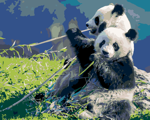 Goblen cu diamante - URȘI PANDA MÂNCÂND BAMBUS