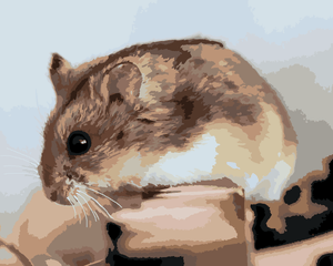 Goblen cu diamante - HAMSTER PE LEMN