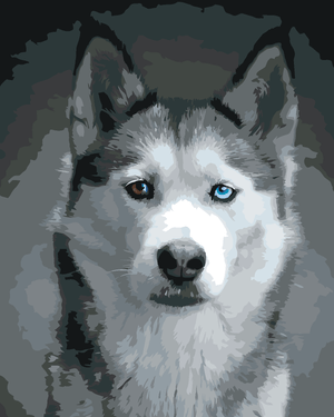 Goblen cu diamante - PORTRETUL UNUI CÂINE HUSKY