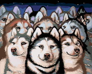 Goblen cu diamante - CÂINI HUSKY