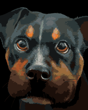 Goblen cu diamante - ROTTWEILER (MYROSLAVA VOLOSCHUK)
