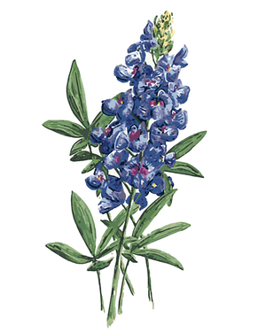 Goblen cu diamante - LUPIN CU FLORI (ALEXANDRIA GILBERT)