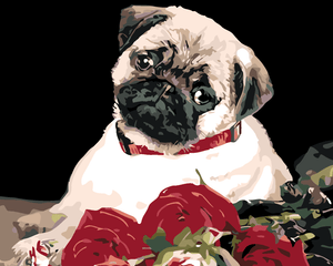 Goblen cu diamante - PUG CU TRANDAFIRI
