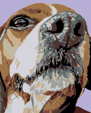 Goblen cu diamante - CÂINE BEAGLE