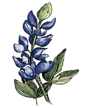 Goblen cu diamante - LUPIN ÎNFLORIT (ALEXANDRIA GILBERT)
