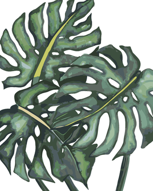 Goblen cu diamante - FRUNZE DE MONSTERA (ALEXANDRIA GI...
