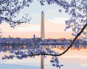 Goblen cu diamante - MONUMENTUL WASHINGTON (TED DAVIS)