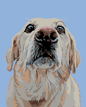 Goblen cu diamante - CÂINE LABRADOR