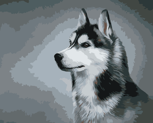 Goblen cu diamante - HUSKY SIBERIAN