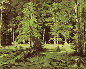 Goblen cu diamante - Pădure (IVAN SHISHKIN)