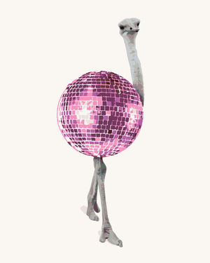 Goblen cu diamante - STRUȚ DISCO
