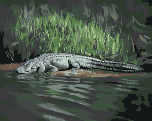 Goblen cu diamante - ALIGATOR LA MAL V (D. RUSTY RUST)