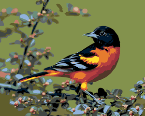 Goblen cu diamante - PASĂRE ORIOLE BALTIMORE