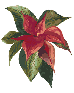 Goblen cu diamante - FLOARE DE POINSETTIA (ALEXANDRIA ...