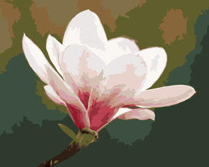 Goblen cu diamante - MAGNOLIE ALBĂ